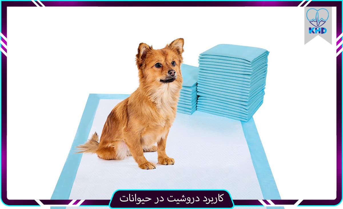 کاربرد دروشیت